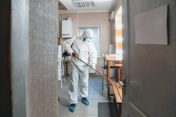 Asbestos and Lead Testing During Mold Inspection in Logansport, IN