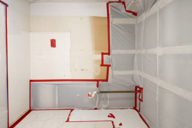 Best Airborne Mold Testing  in Logansport, IN
