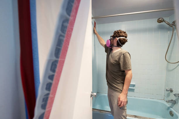 Best Air Quality Testing for Mold Spores  in Logansport, IN