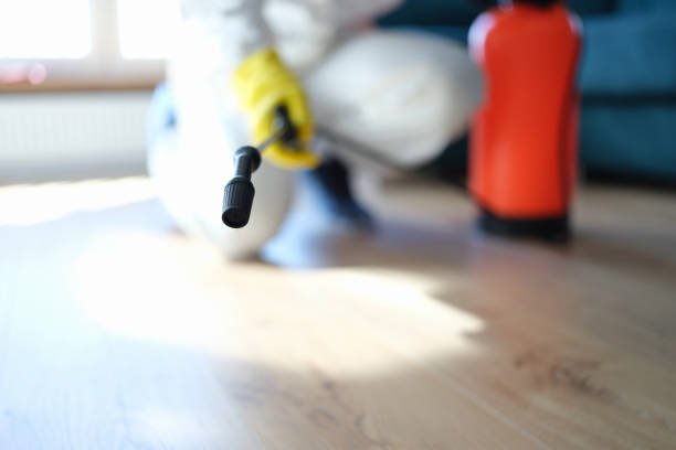 Best Dehumidification Services  in Logansport, IN