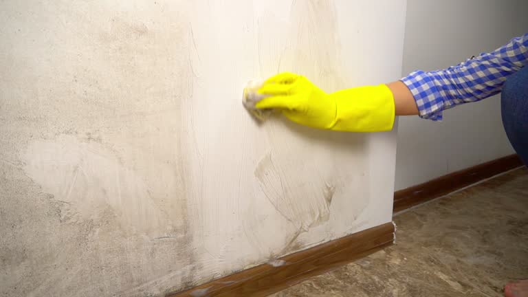 Best Asbestos and Lead Testing During Mold Inspection  in Logansport, IN