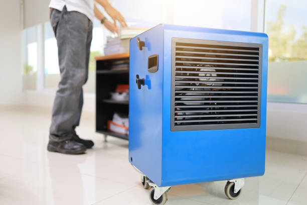  Logansport, IN Mold Removal Pros