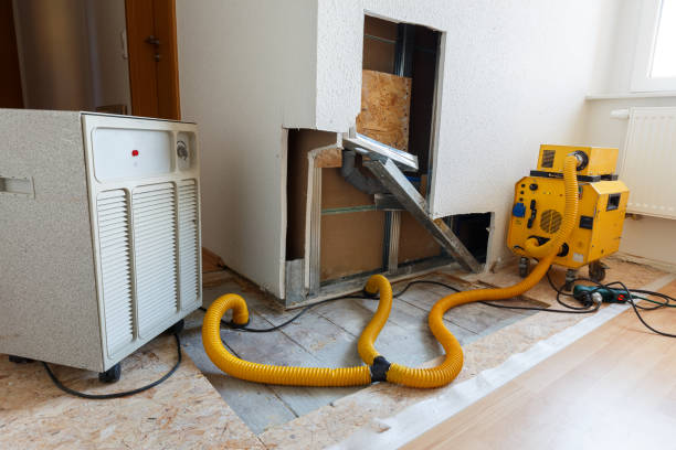Best Mold Removal for HVAC Installations  in Logansport, IN