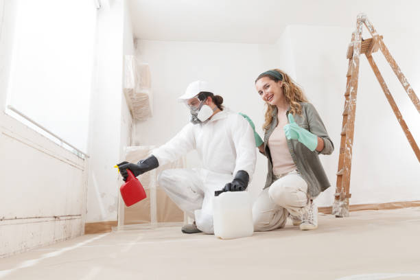 Best Comprehensive Air Testing for Mold Contaminants  in Logansport, IN