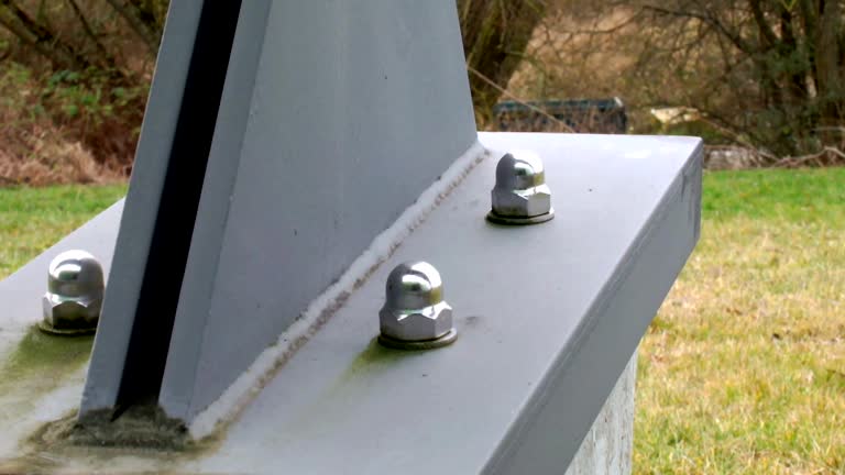 Trusted Logansport, IN Mold Removal Experts
